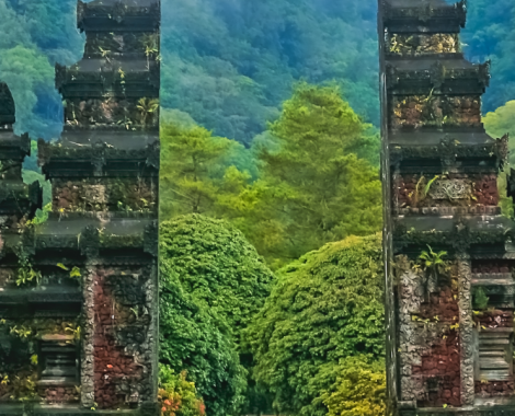 slider-image 