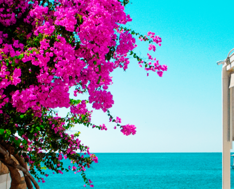 slider-image 